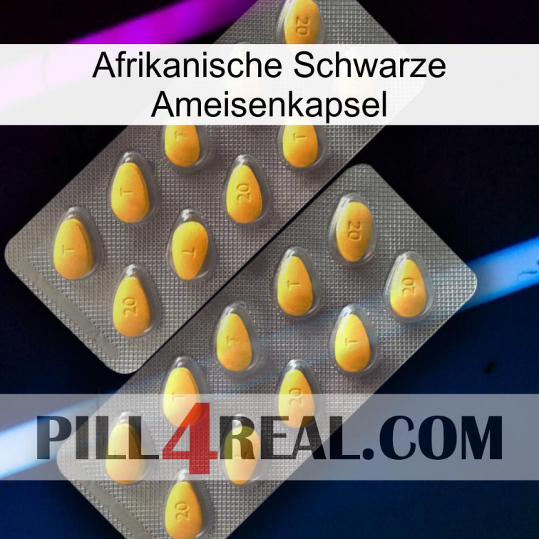 Africa Black Ant Capsule cialis2